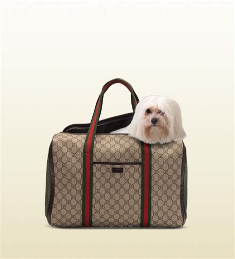 gucci dog bag replica|are gucci bags real.